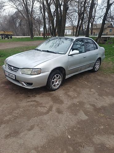 таета ланд крузер прадо: Toyota Corolla: 2002 г., 1.6 л, Механика, Бензин, Седан — 2