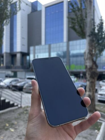 ноутбук в кредит бишкек: IPhone 12 Pro, Колдонулган, 256 ГБ, Графит, 94 %
