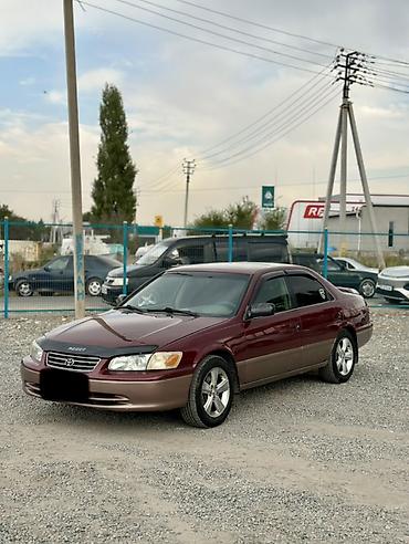 Унаа сатуу: Toyota Camry: 2000 г., 2.2 л, Автомат, Бензин, Седан — 3