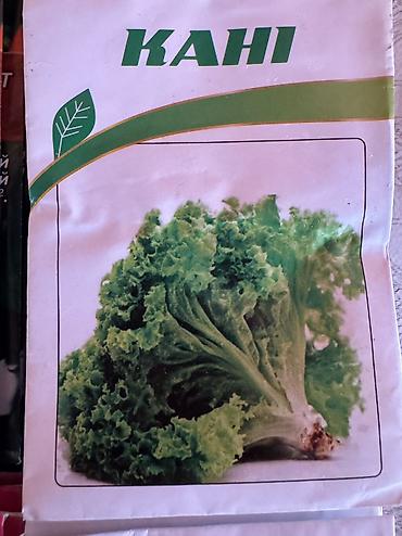 🌿 4 Mövsüm Toxumları Pul verib kimyəvi göyərti alma! Özün ək, təmiz lalafo.az -da 🌿 4 Mövsüm Toxumları Pul verib kimyəvi göyərti alma! Özün ək, təmiz