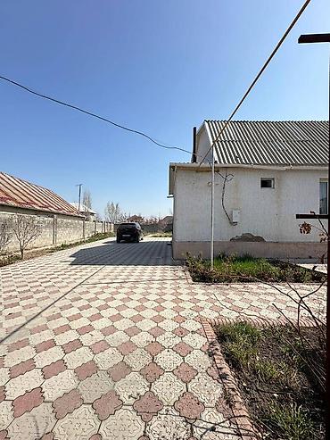 Продажа участков: 8 соток, Красная книга — 5