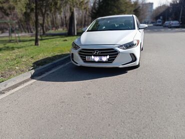 белый hyundai: Hyundai Elantra: 2017 г., 2 л, Автомат, Бензин, Седан