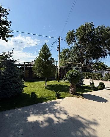 сары булун: 23 соток — 3