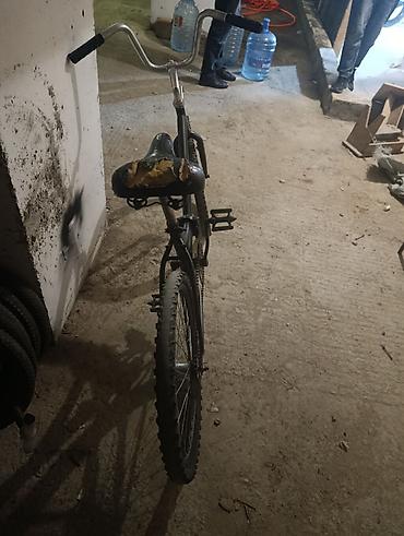 24 velosiped: Xüsusiyyətlər: - Tək sürət (single-speed) ötürmə sistemi - 26" arxa — 2