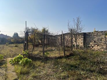 Bağ evlərinin satışı: Bakı, Sabunçu qəs., 57 kv. m, 4 otaqlı, Hovuzlu — 4