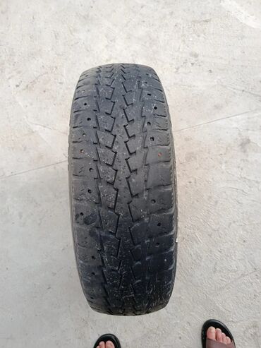 шына на трактор: Шиналар 205 / 70 / R 16, Winter stud, 1 даана, Жеңил унаалар, Toyo