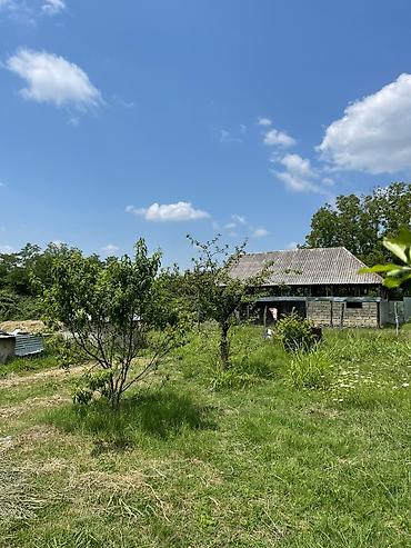 sirvan evler: 80 sot, Tikinti, Mülkiyyətçi, Kupça (Çıxarış) — 5