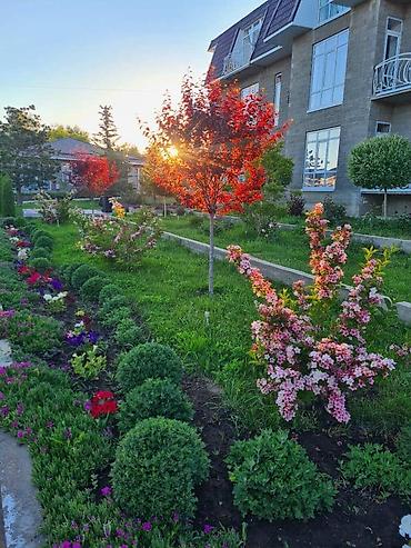 Долгосрочная аренда квартир: 2 комнаты, С мебелью полностью — 19