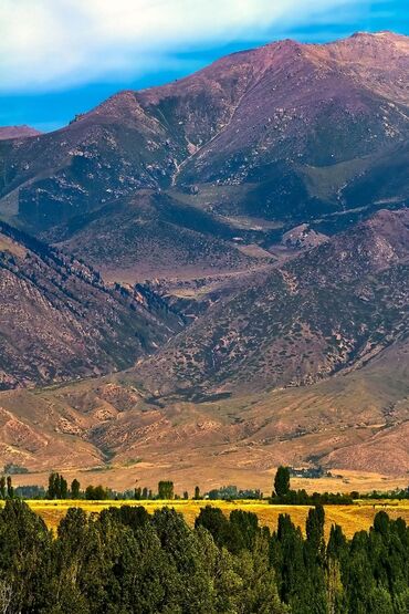 Продажа домов: Дом, 76 м², 4 комнаты, Собственник, Старый ремонт at lalafo.kg — 15 Продажа домов: Дом, 76 м², 4 комнаты, Собственник, Старый ремонт — 15