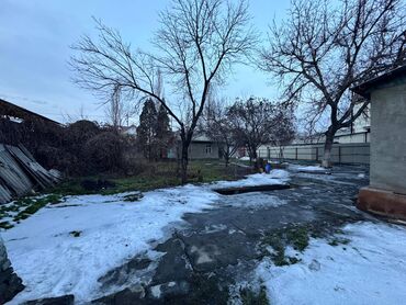 Продажа квартир: 8 соток, Для бизнеса