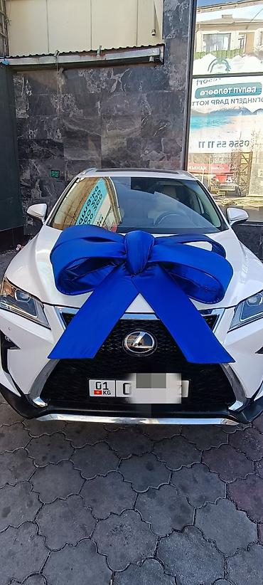 Организация мероприятий: Организация мероприятий | Оформление мероприятий — 20