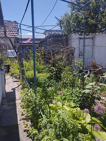 Продажа коттеджей и домов: Продается уютный дом в центре Токмака! Адрес: г. Токмак, ул. Р — 13