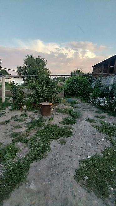 Продажа дачи: 2 комнаты, 46 м², 3 соток, Маевка с., Газ, Электричество, Горячая вода — 11