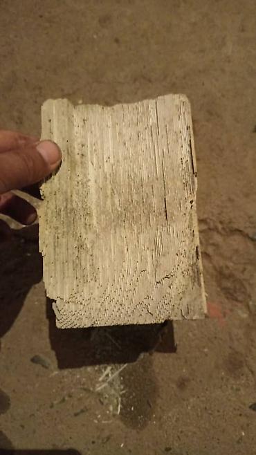 Скупка катализаторов: Ош шаарында авто катализатор сатып алабыз кымбат баада жана баардык — 13