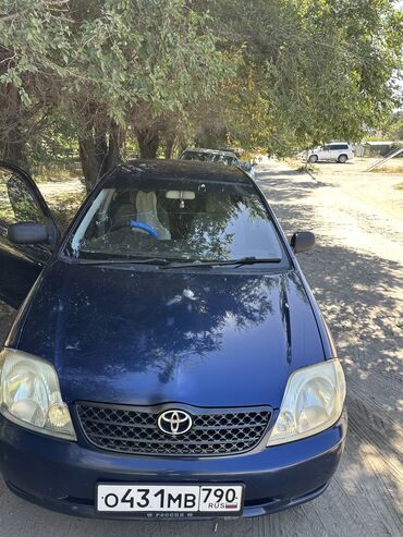 runx alex: Toyota Corolla: 2001 г., 1.5 л, Автомат, Бензин, Седан
