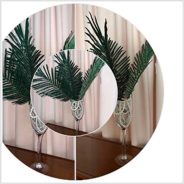 финик пальма: Ваза прозрачная со стильным срезом, диаметр 12 см, высота 50