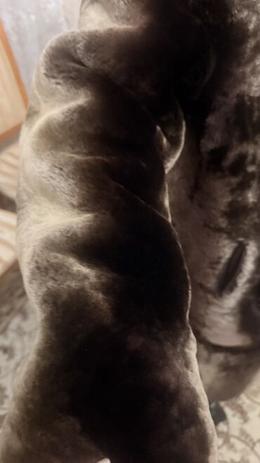 Шубы: Шуба, Длинная модель, Турция, С капюшоном, XL — 4