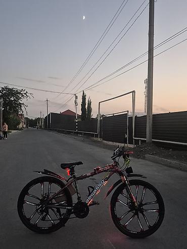 велосипед 26: Velosiped – PEGASSO, 26” təkərli, şəhər və yüngül off-road üçün — 4