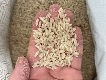 Крупы, мука, сахар: Продаю Баткенский рис «Лазер» не смешанный. Сами выращивали. Доставка