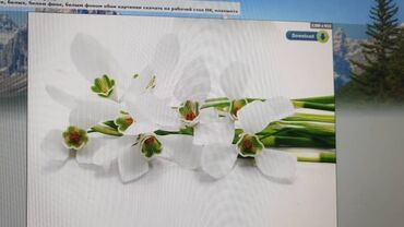 Натяжной потолок: Натяжной потолок Глянцевое, Матовое, 3D потолки Бесплатная консультация, Демонтаж, Бесплатный замер — 5