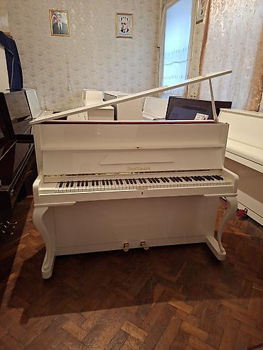 Piano, Zimmermann, Akustik, Yeni, Pulsuz çatdırılma lalafo.az -da Piano, Zimmermann, Akustik, Yeni, Pulsuz çatdırılma