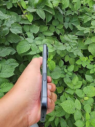 чип панель: IPhone 16 Pro Max, Б/у, 256 ГБ, Графит, Коробка, 85 % — 6