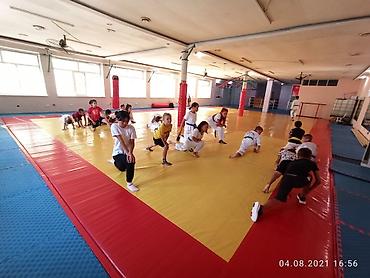 тренировочные: Объявляется набор на олимпийский вид спорта Таеквондо WT : детей и — 5