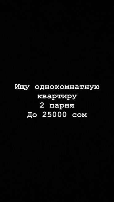 сдаю квартиру бишкек долгосрочная: 1 комната, 20 м², С мебелью