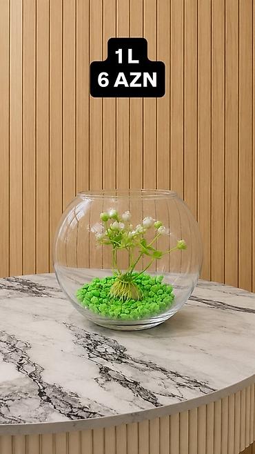 akvarium baliqlari satisi: Yumru akvarium, 1 l, Ünvandan götürmə, Pulsuz çatdırılma, Ödənişli çatdırılma — 2
