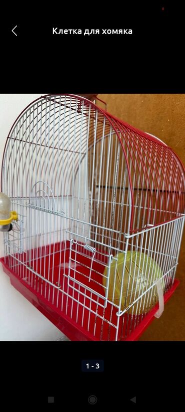 клетка для попугай: Клетка для хомяка