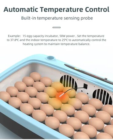 Oprema za kućne ljubimce: INKUBATOR Automatski nove generacije za 40 jaja 12v/220v — 8