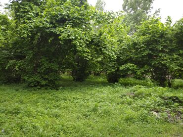 Комнаты: 30 соток, Возможен обмен, Купчая