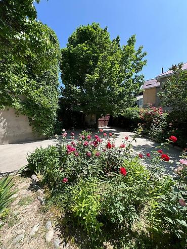 Продажа квартир: 3 комнаты, 87 м², Индивидуалка, 2 этаж, Косметический ремонт at lalafo.kg — 16 Продажа квартир: 3 комнаты, 87 м², Индивидуалка, 2 этаж, Косметический ремонт — 16