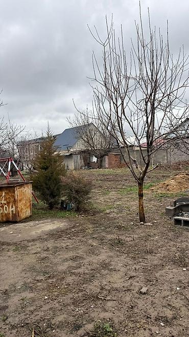 тулеева: 15 соток, Для строительства, Красная книга — 2
