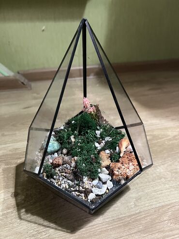 вакуумный насос для кондиционера: Florrarium sukkulent ucun Готовый флорариум для суккулентов или
