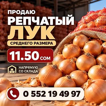 зеркало с подсветкой цена бишкек: Лук Оптом — 1