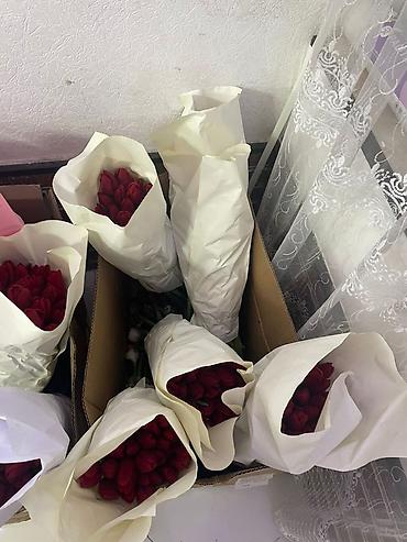 Букеты из живых цветов: Тюльпан гулдору оптом 95сом штук Штучно 130 сом. Оптом от 150шт - — 6