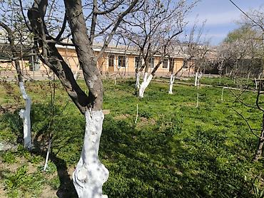 Продажа домов: Дом, 1441 м², 12 комнат, Собственник at lalafo.kg — 43 Продажа домов: Дом, 1441 м², 12 комнат, Собственник — 43