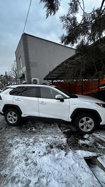 Toyota: Toyota RAV4: 2019 г., 2.5 л, Автомат, Гибрид, Внедорожник — 4