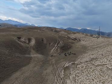 mavic 2: Фотосъёмка | С выездом | Аэросъемка с дрона — 3