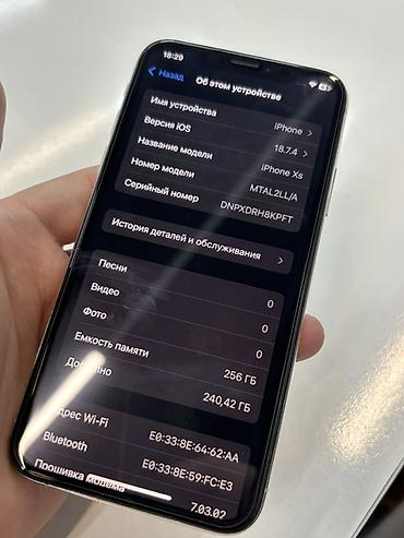 Apple iPhone: IPhone X, Серебристый — 8