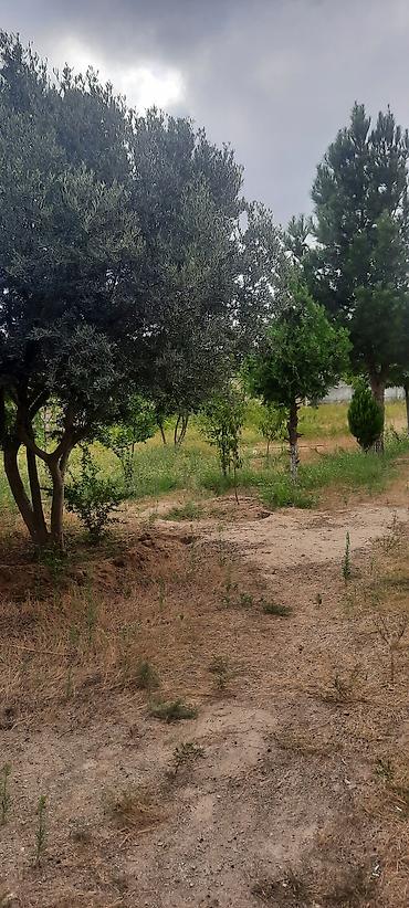 bağça satılır: 9 sot, Tikinti, Kupça (Çıxarış) — 2