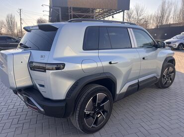 BYD: BYD : 2025 г., Автомат, Электромобиль, Внедорожник — 7