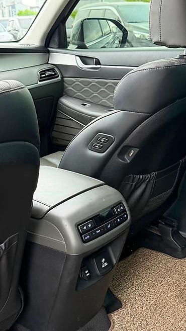 terrain: Hyundai Palisade: 2021 г., 2.2 л, Автомат, Дизель, Кроссовер — 6