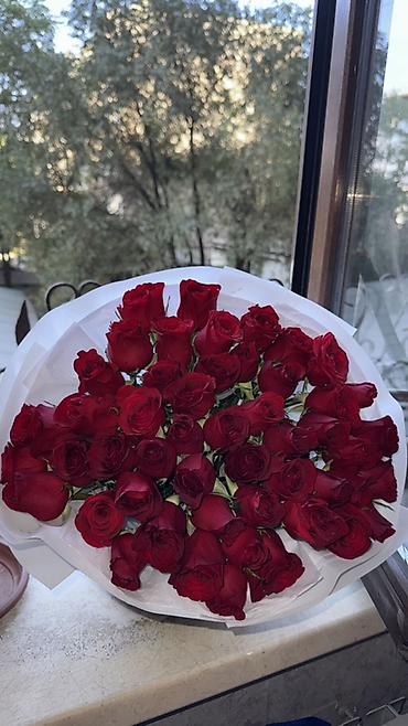 цветы даром: 🌹 Красные розы — 51 шт. Цена сегодня — 4 000 сом ❤️ 🤝 Торг уместен — 2
