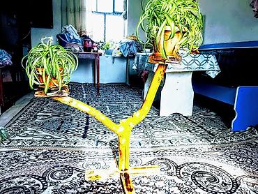 Полки, этажерки для цветов: Полка, этажерка для цветов, Дерево — 3