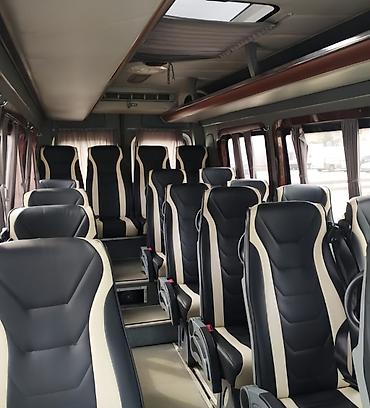 rex sprinter: Пункт назначения: Тюп, Количество мест: 20, Лицензия №: 232746 — 4