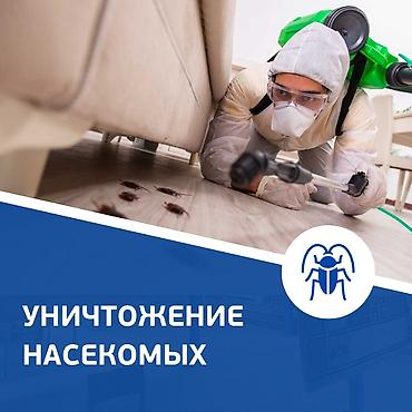 Дезинфекция, дезинсекция: Профессиональная дезинсекция — уничтожение насекомых - Комплексная — 1