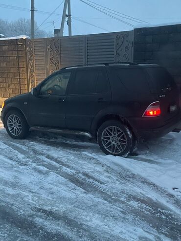мерс машна: Mercedes-Benz M-Class: 1999 г., 4.3 л, Бензин, Кроссовер