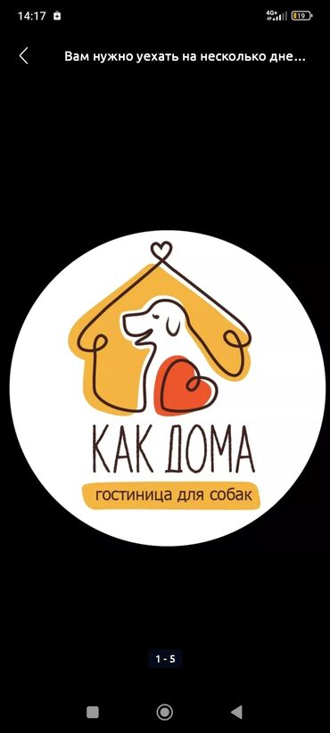 котеж бостери: Предлагаем услуги гостиницы для собак и кошек. Мы обеспечиваем